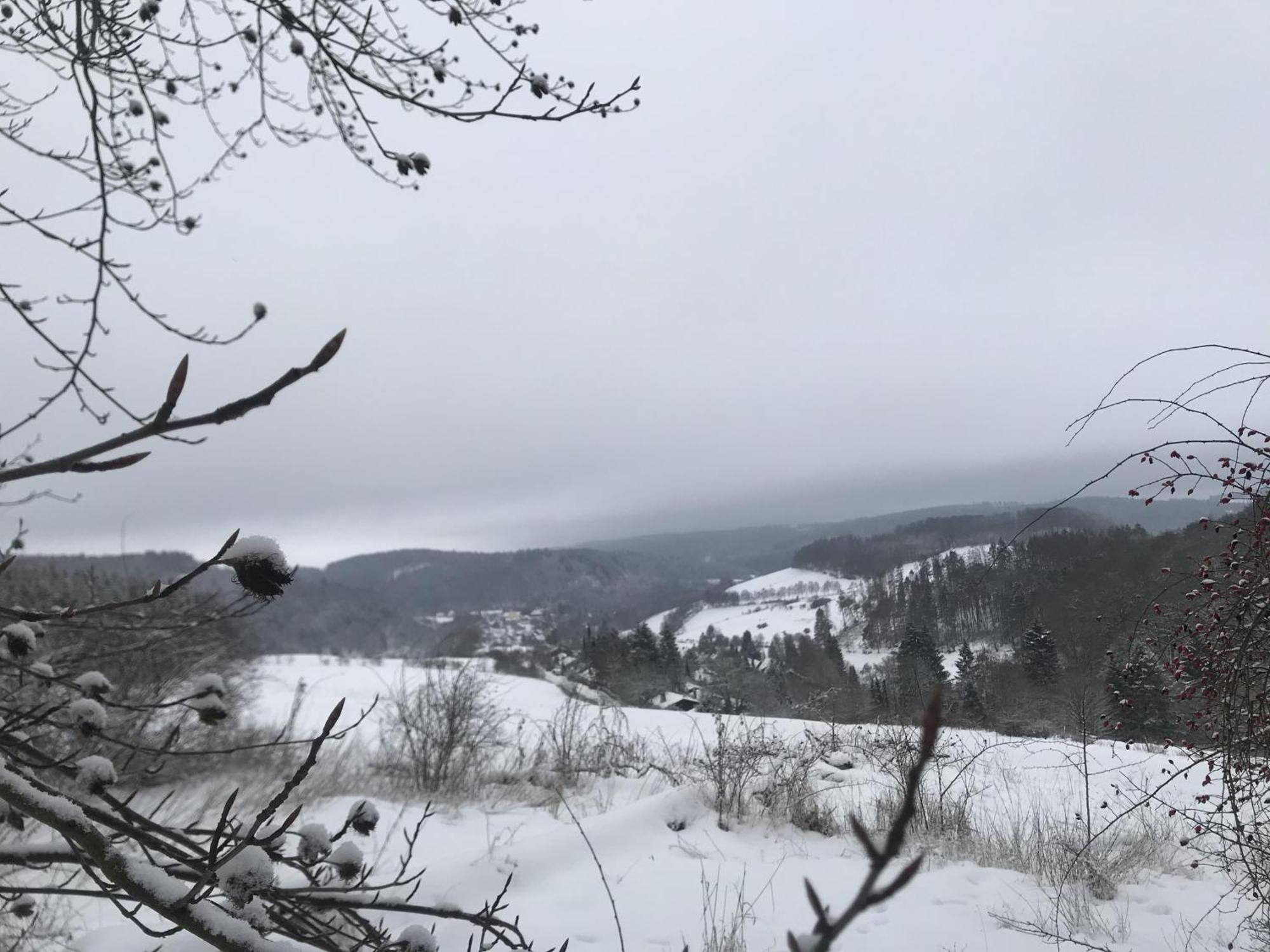 Villa Glühalm Willingen Willingen  Exterior foto