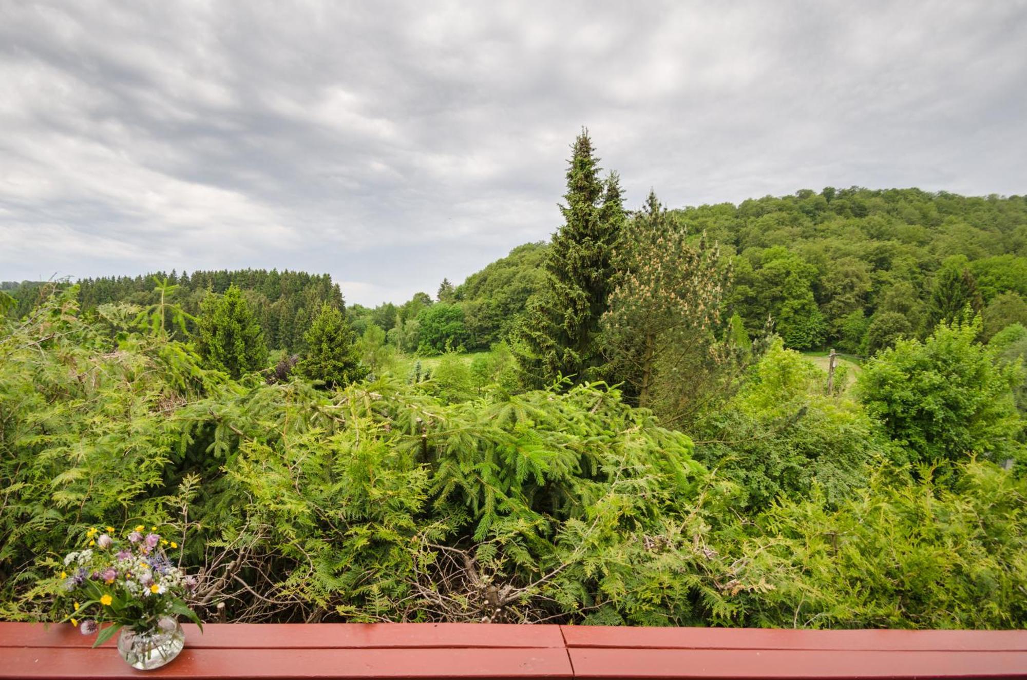 Villa Glühalm Willingen Willingen  Exterior foto